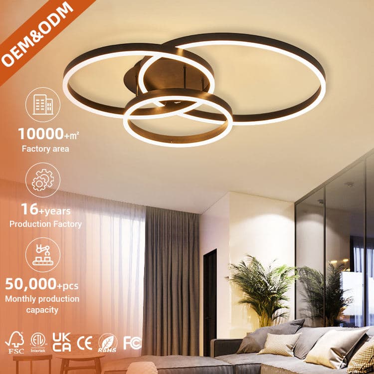 Modern Nordic Smart LED Ceiling Light